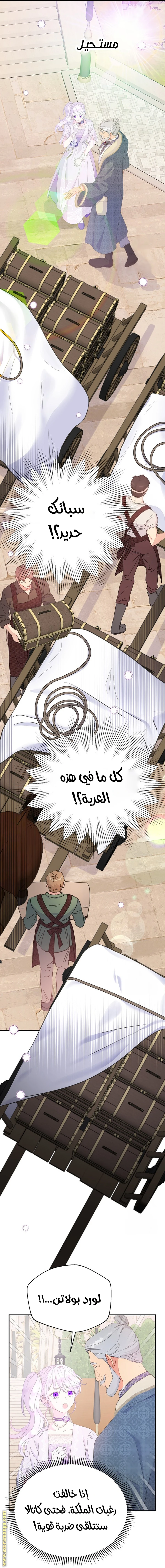 الصفحة 25