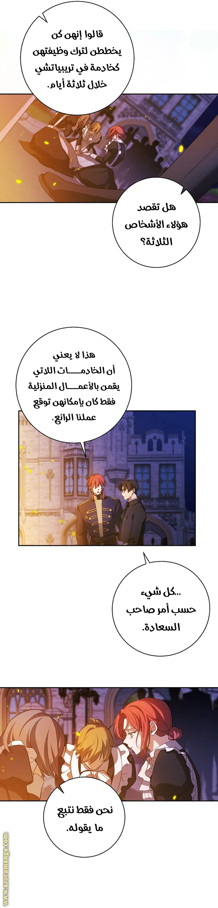 الصفحة 17