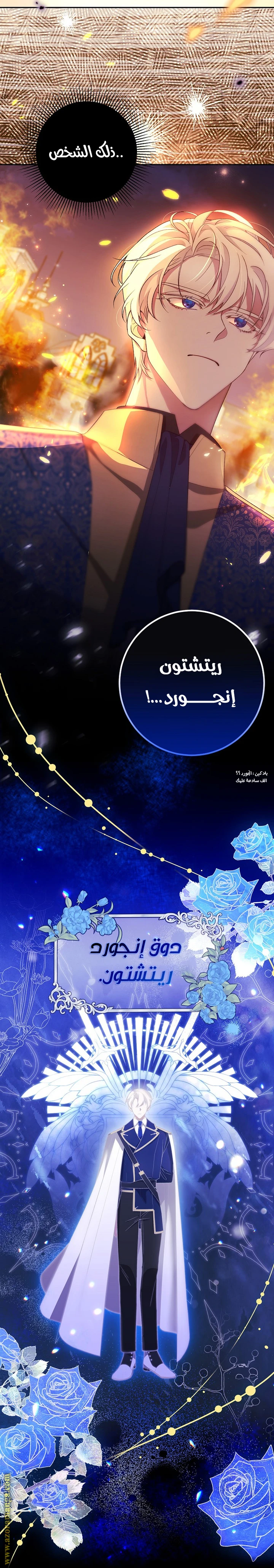 الصفحة 21