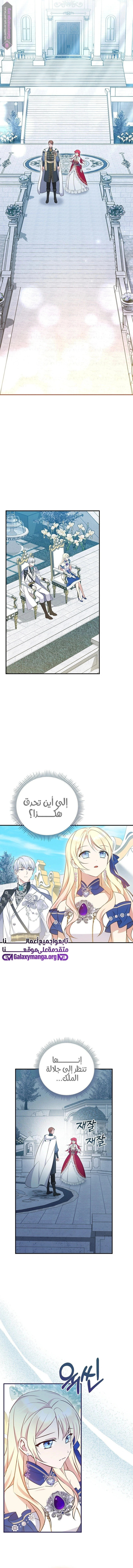 الصفحة 6