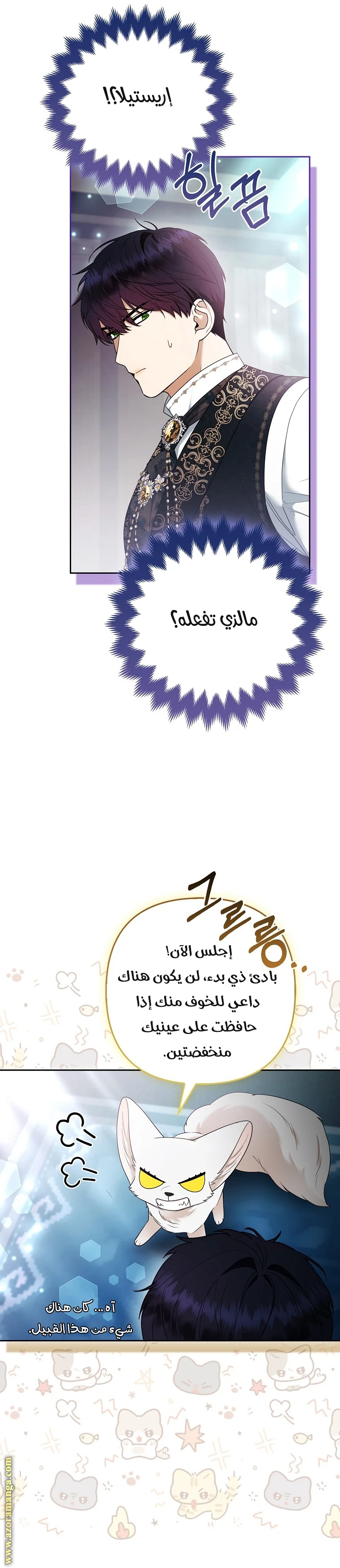 الصفحة 19
