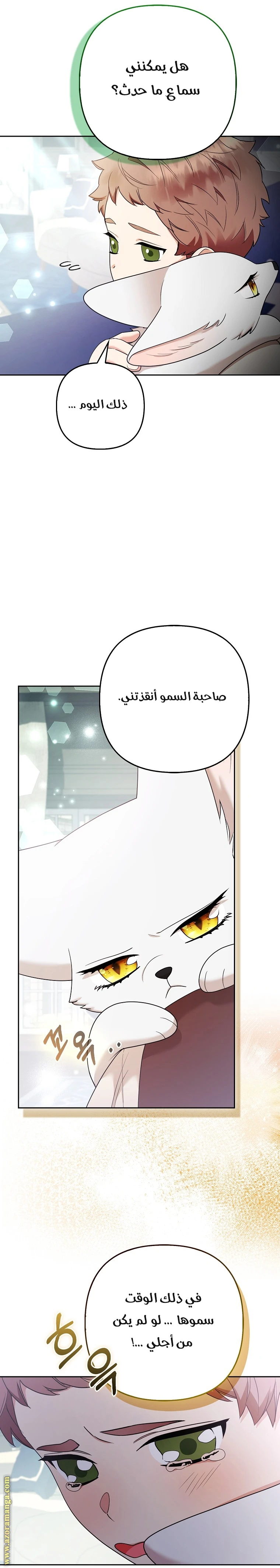 الصفحة 22