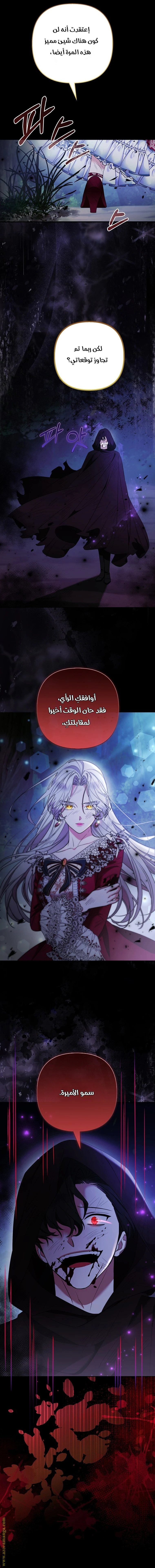 الصفحة 24