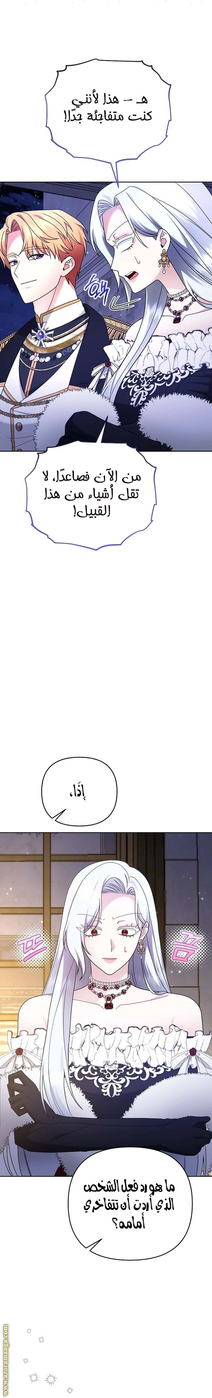 الصفحة 24