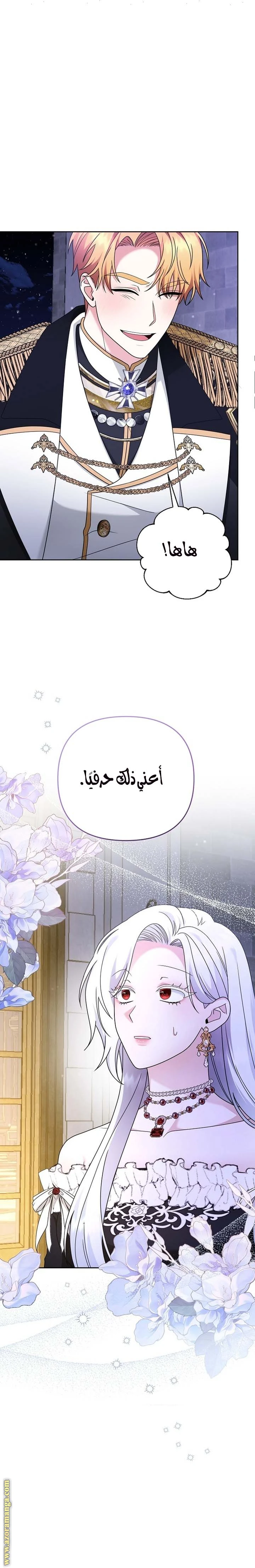 الصفحة 26