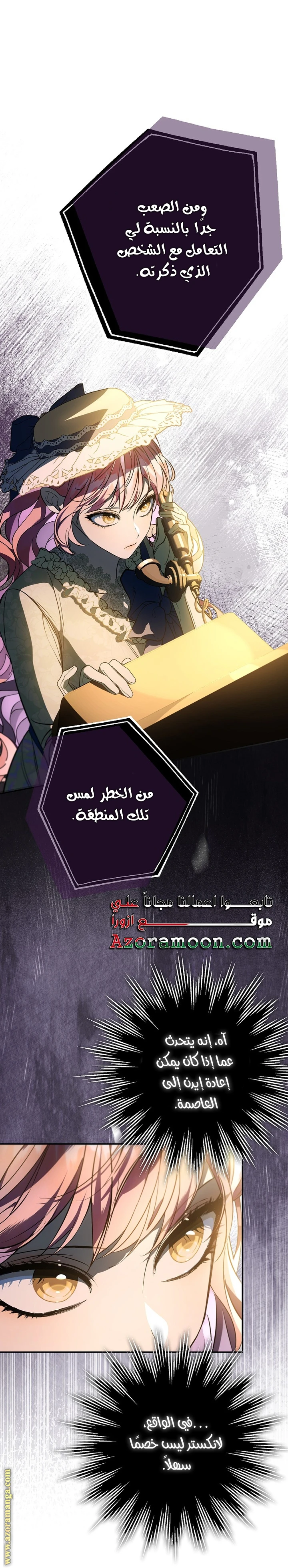 الصفحة 17
