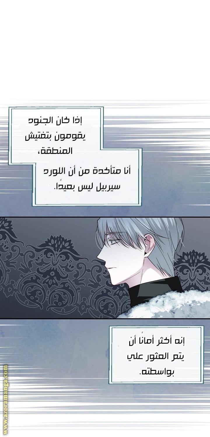 الصفحة 19
