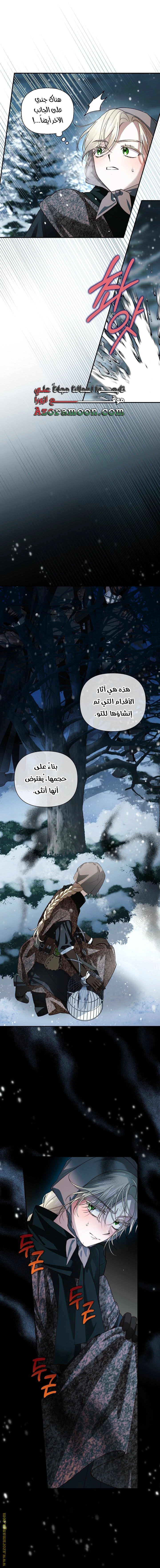 الصفحة 21