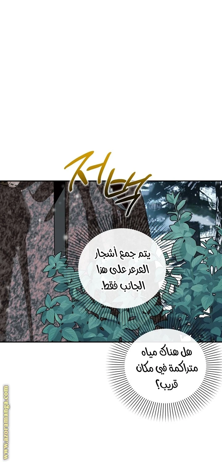 الصفحة 28