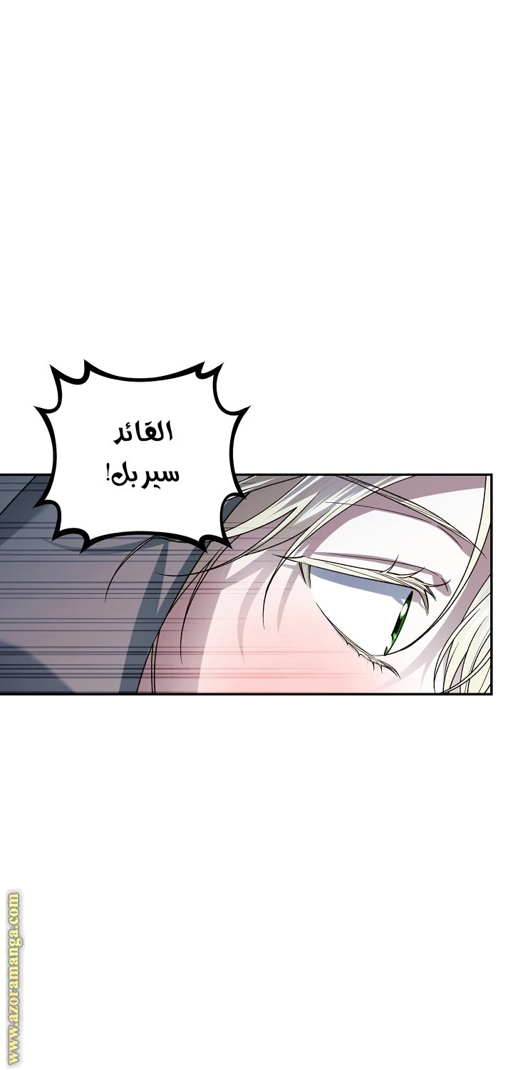 الصفحة 29