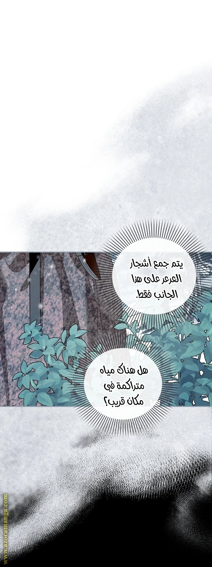 الصفحة 41