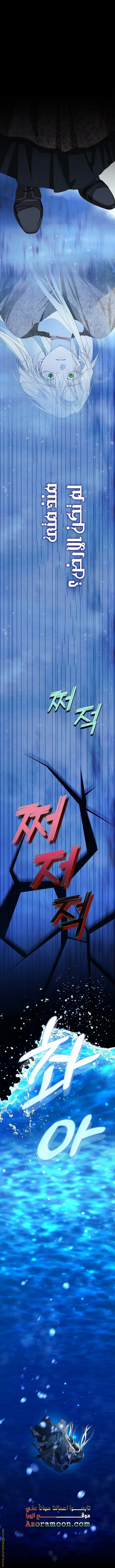 الصفحة 42