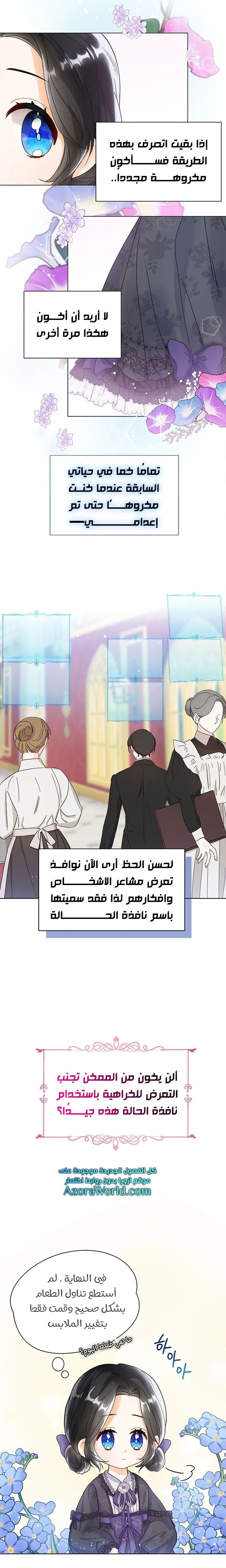 الصفحة 17