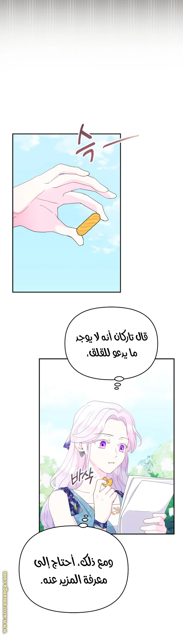 الصفحة 23
