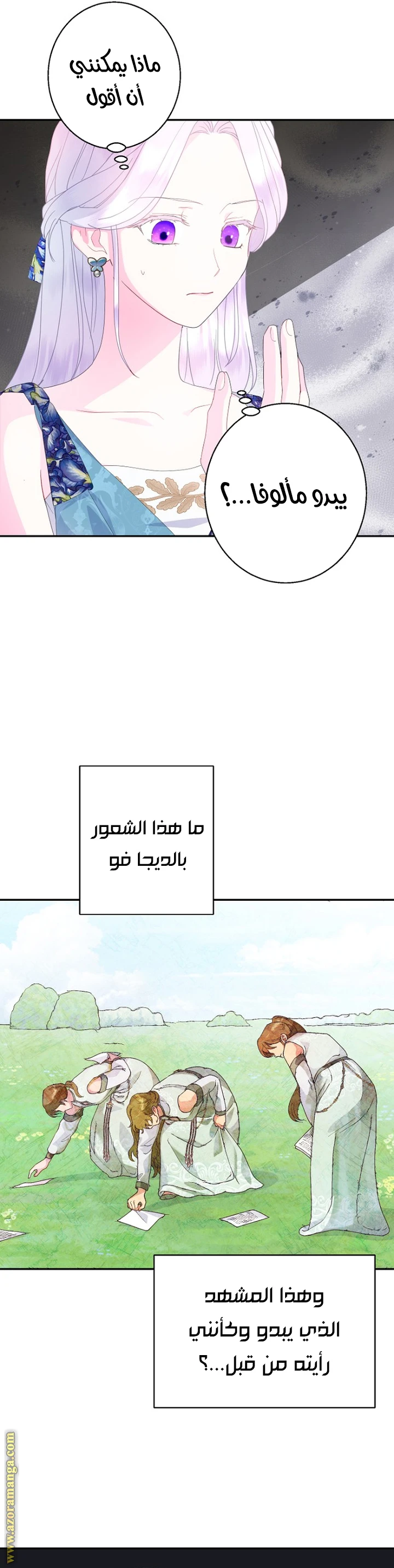 الصفحة 29