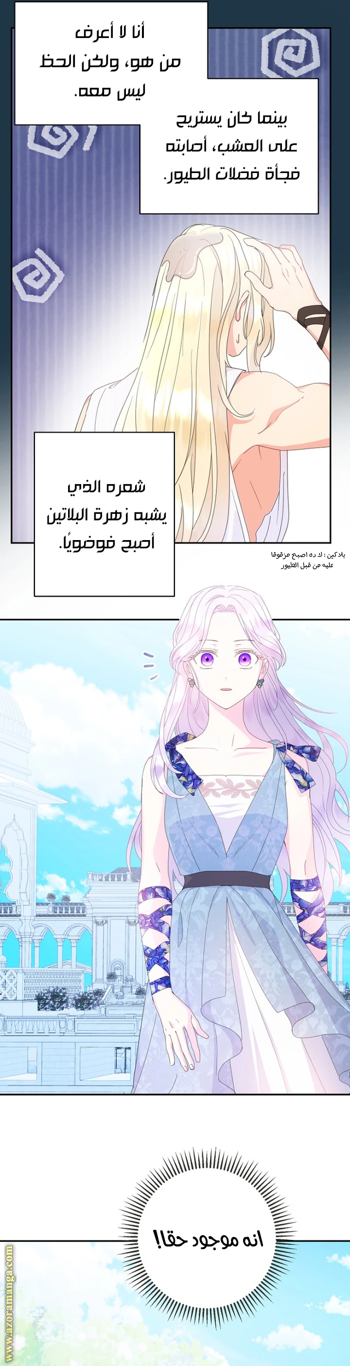 الصفحة 36