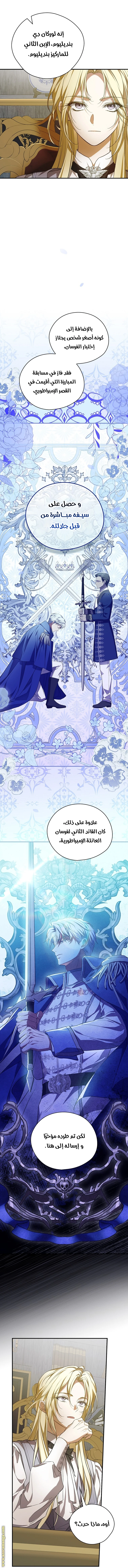 الصفحة 17