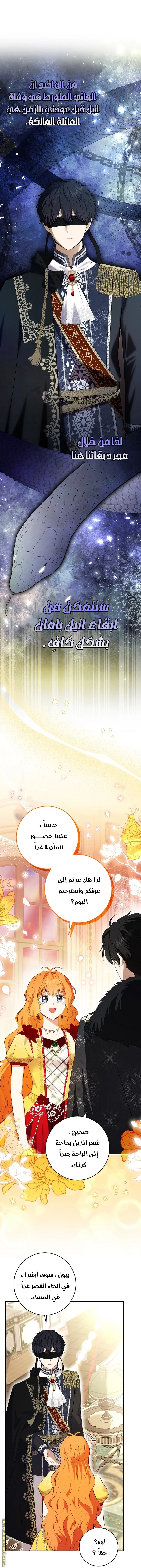 الصفحة 16