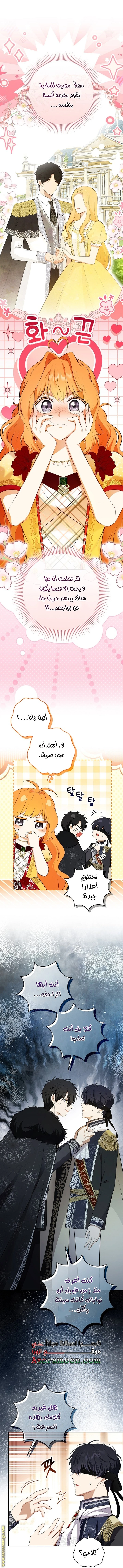 الصفحة 20