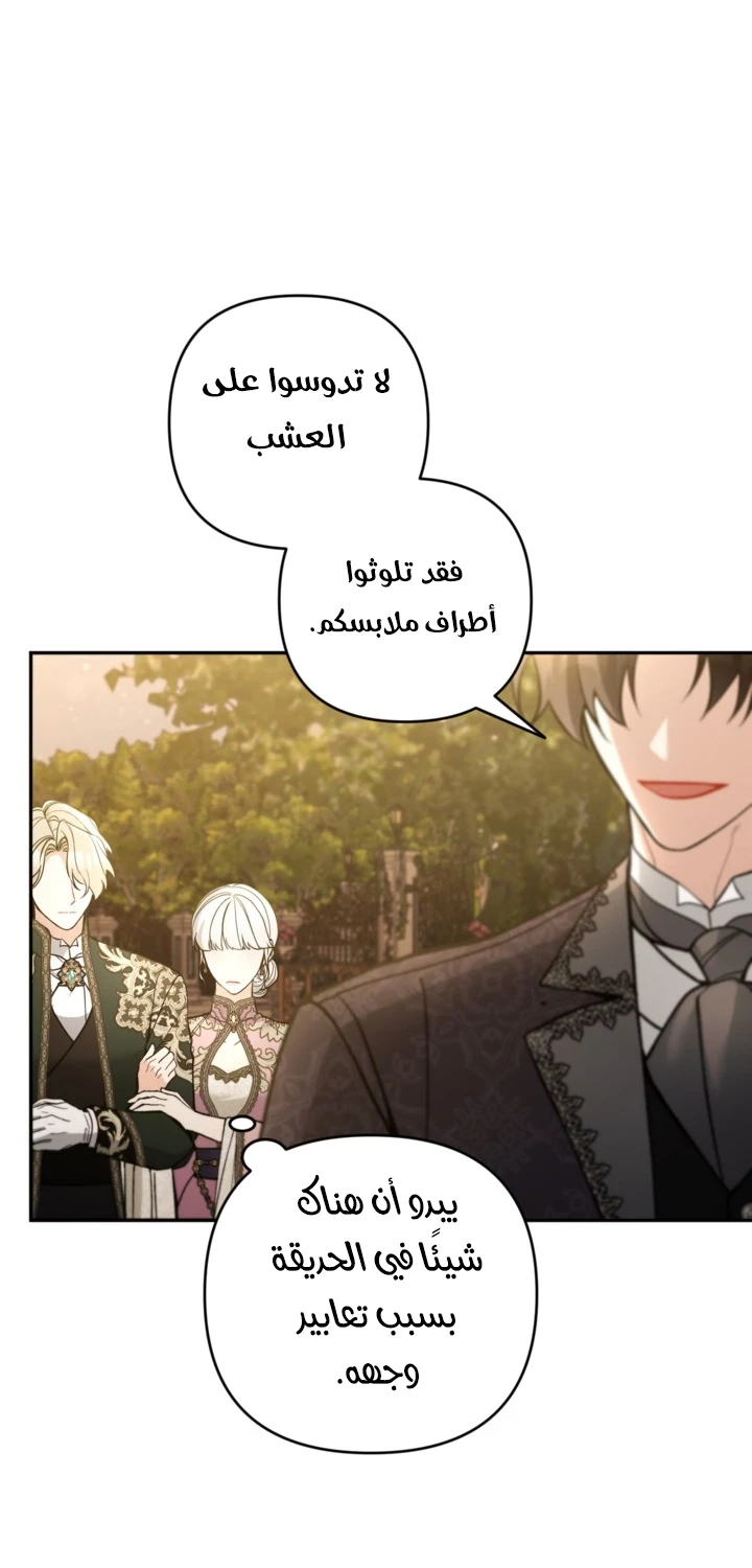 الصفحة 29
