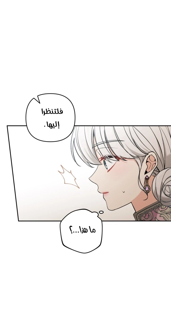 الصفحة 46