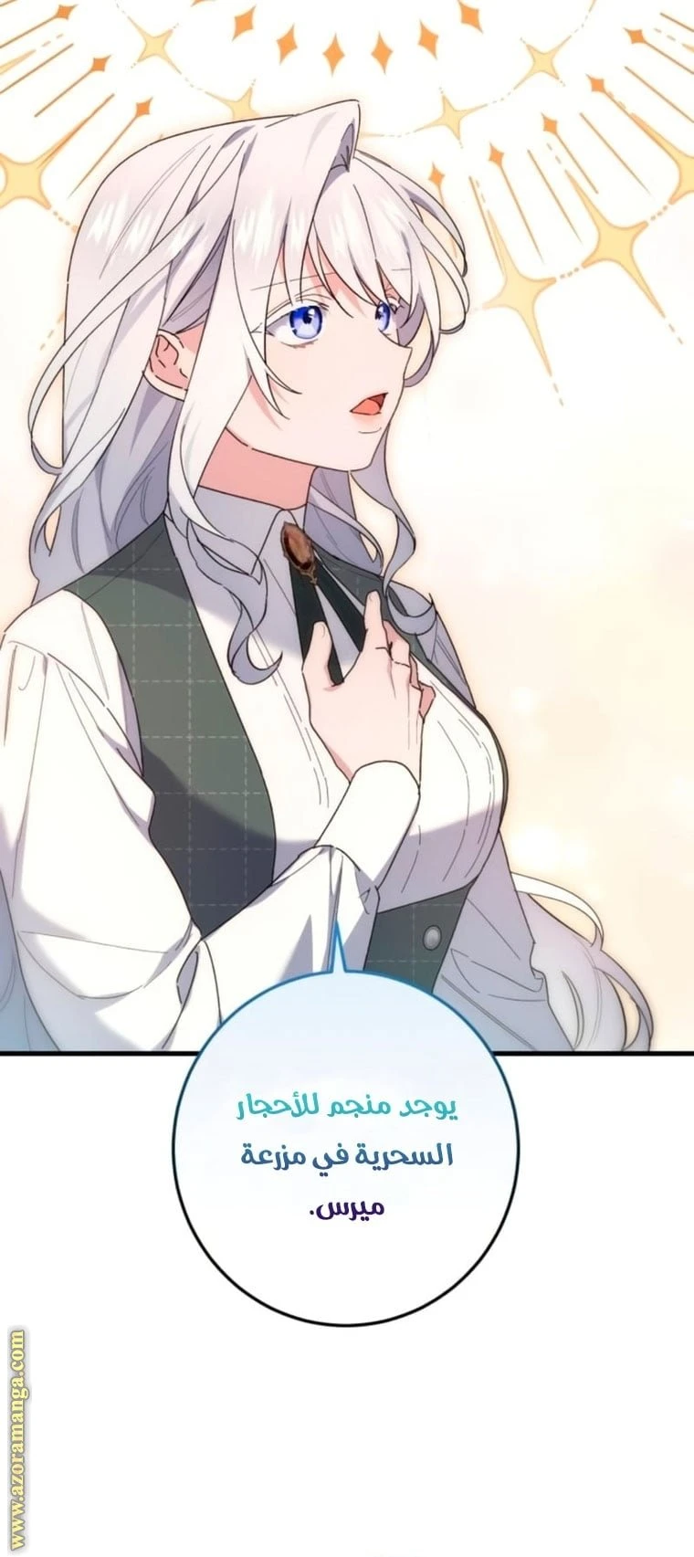 الصفحة 12