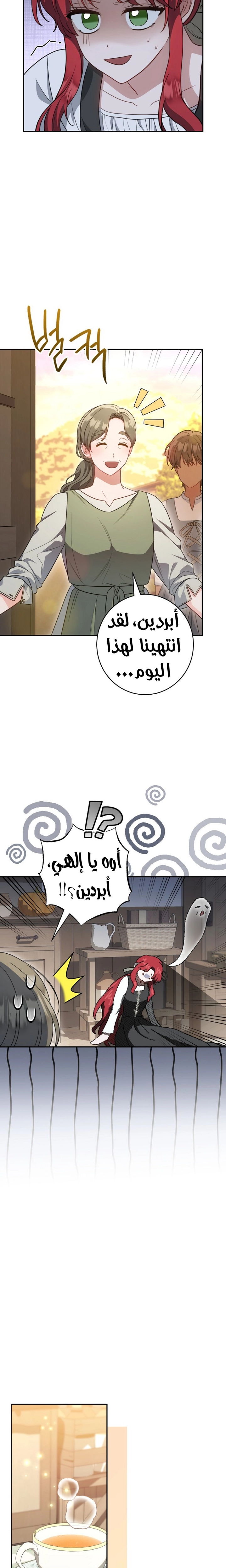 الصفحة 13