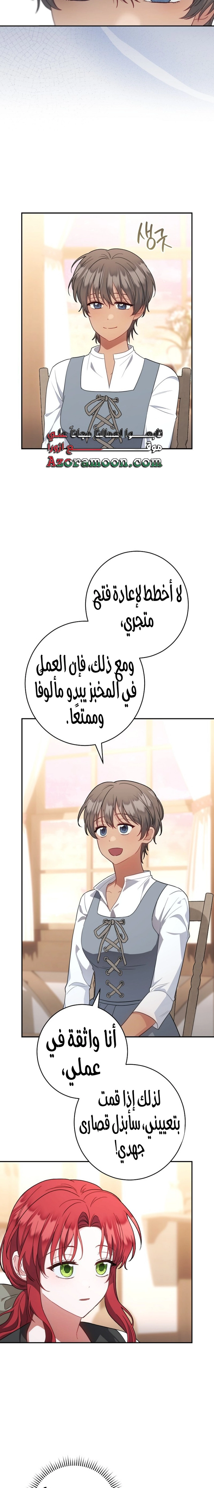 الصفحة 17