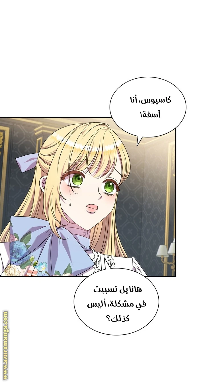الصفحة 13