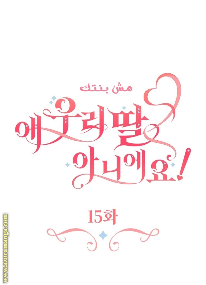 الصفحة 24