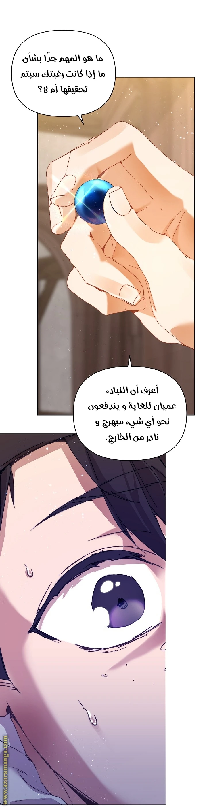 الصفحة 14
