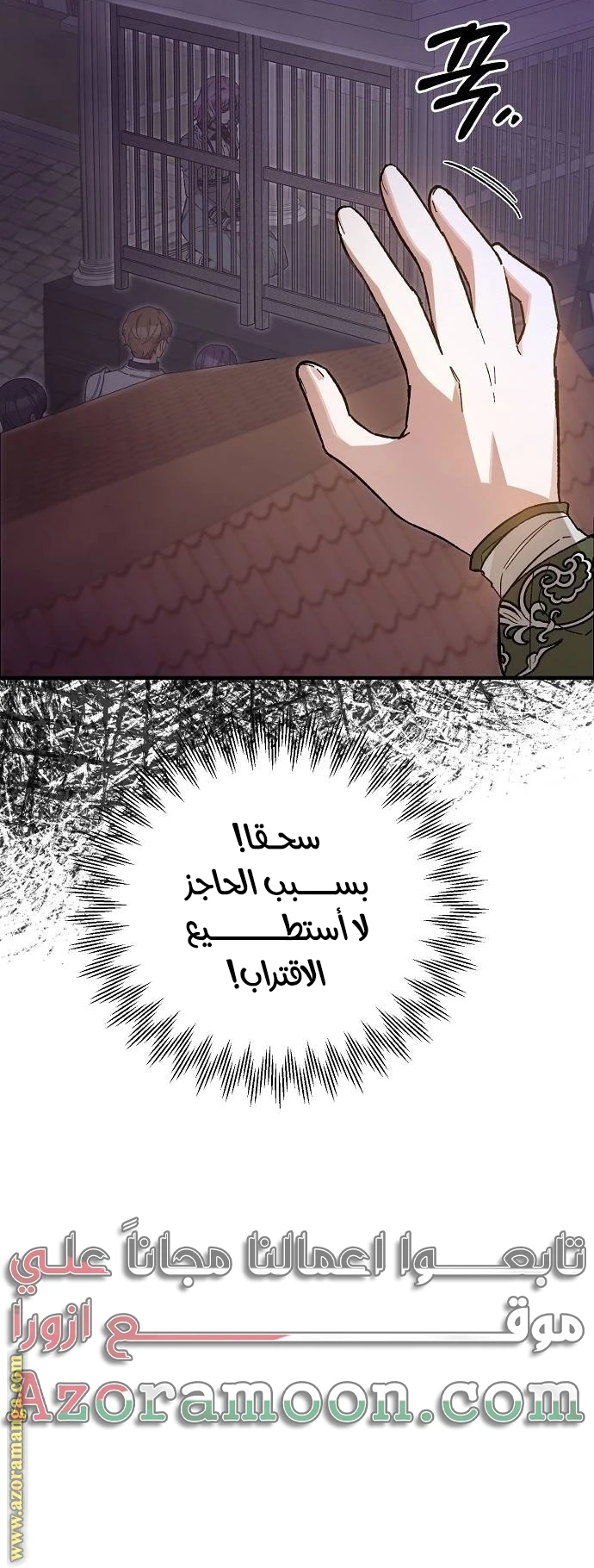 الصفحة 13