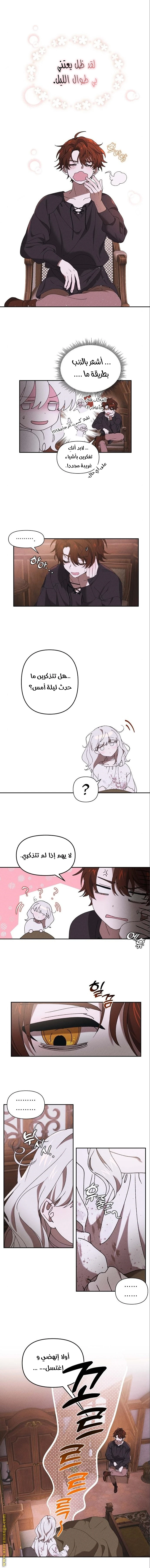 الصفحة 3