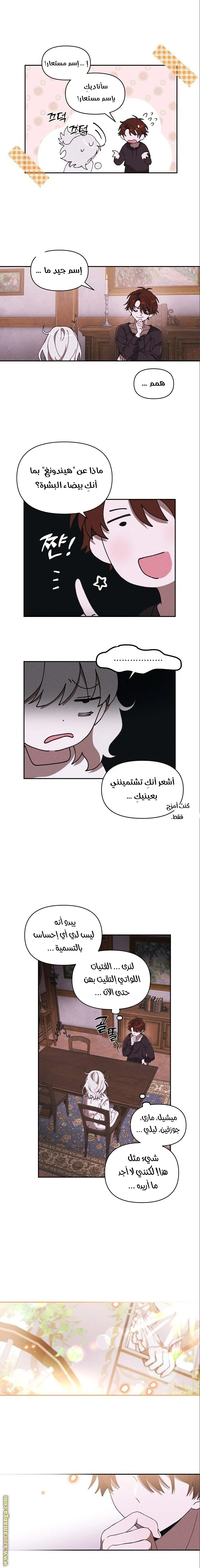 الصفحة 11