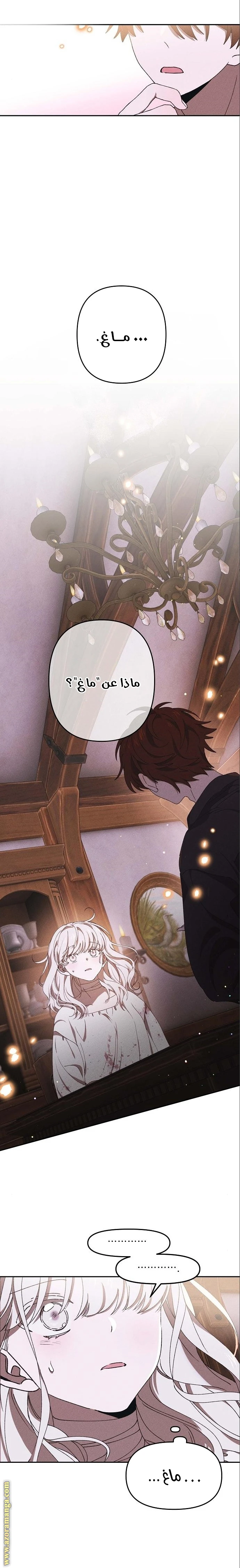 الصفحة 12