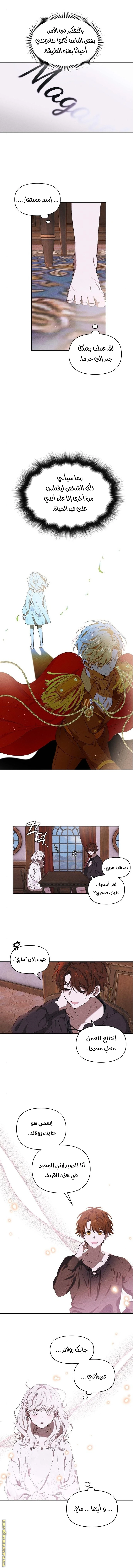 الصفحة 13
