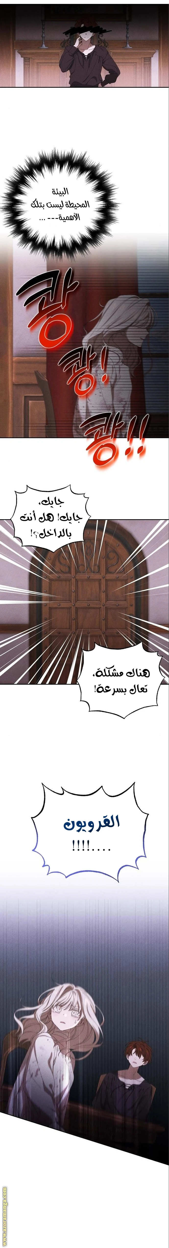 الصفحة 17