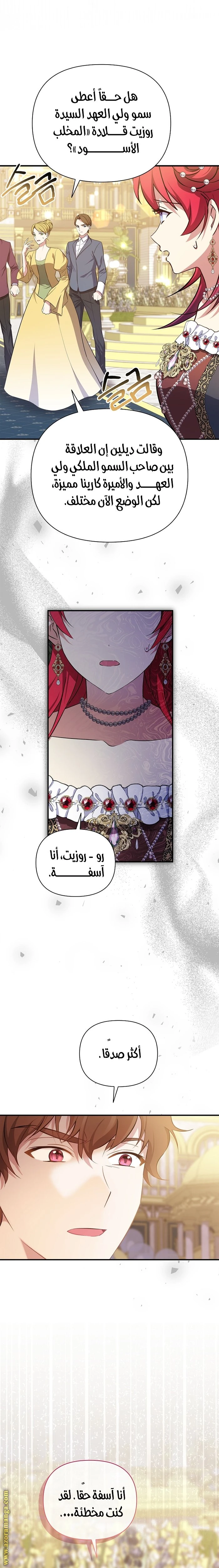 الصفحة 26