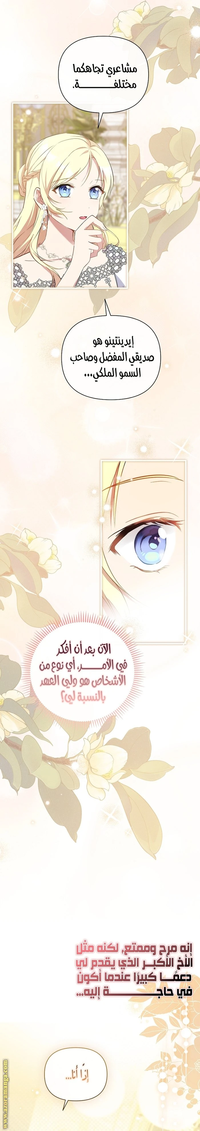 الصفحة 30