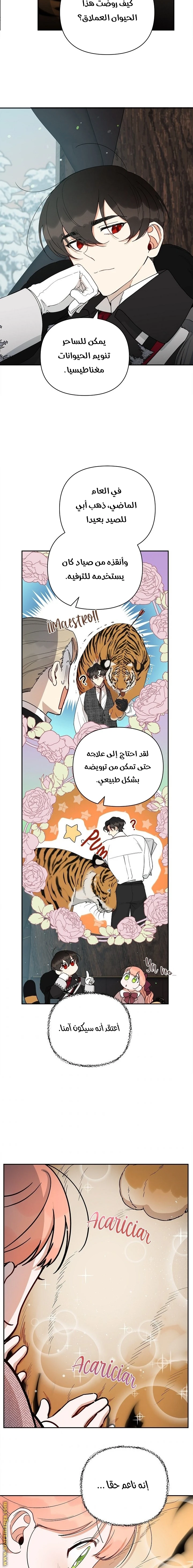 الصفحة 8