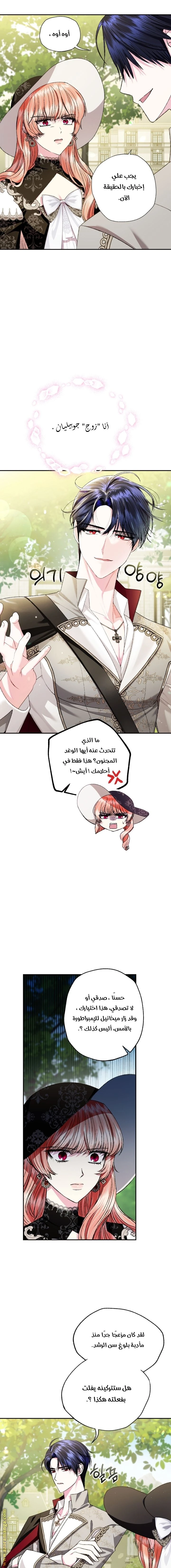 الصفحة 8