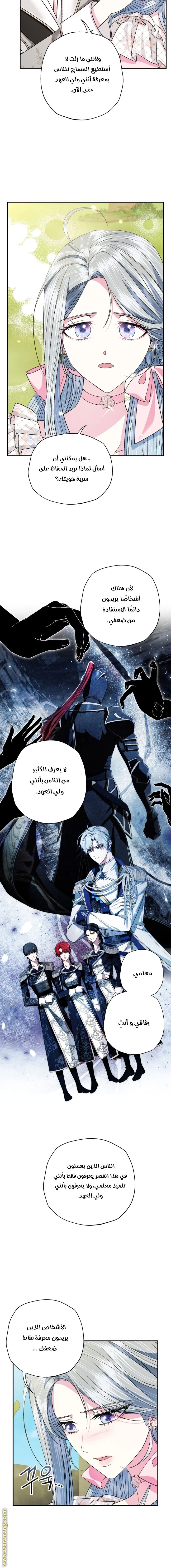 الصفحة 13