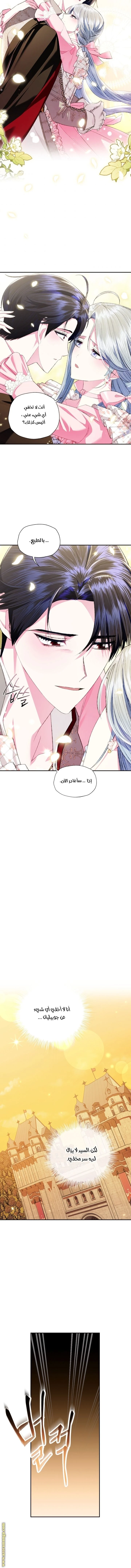 الصفحة 17
