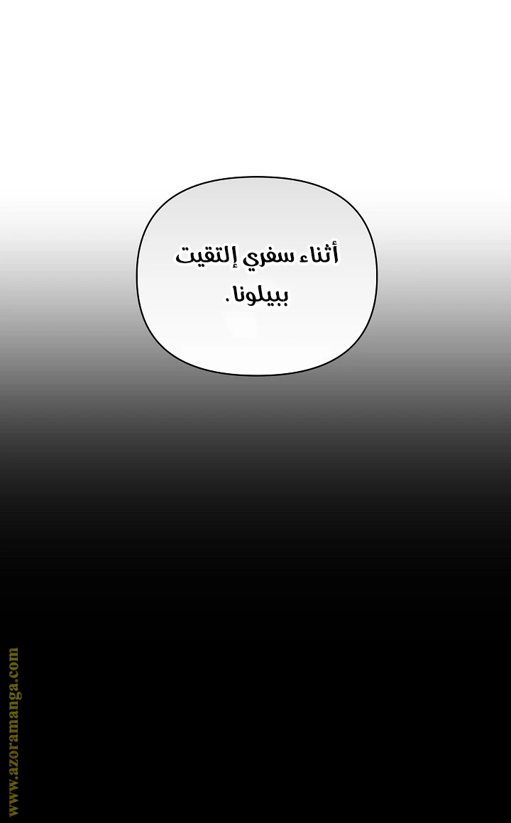 الصفحة 29