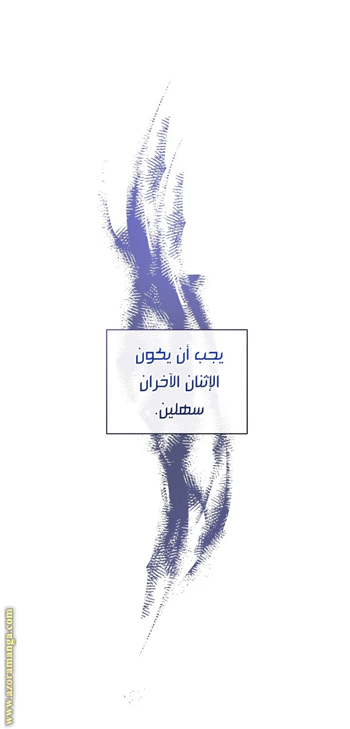 الصفحة 41