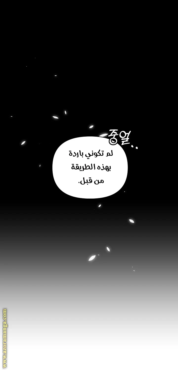 الصفحة 63