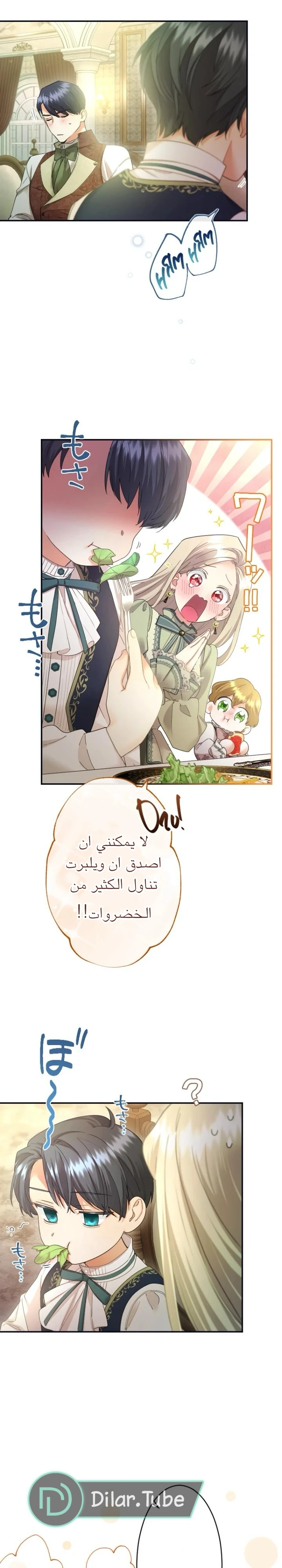 الصفحة 17