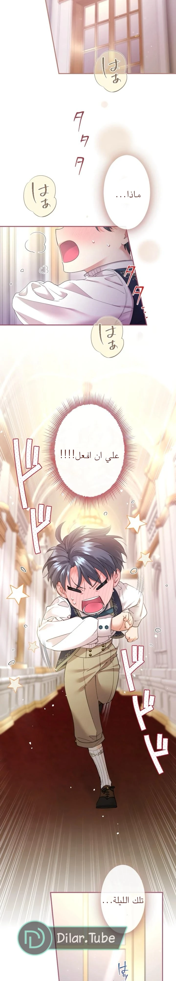 الصفحة 21
