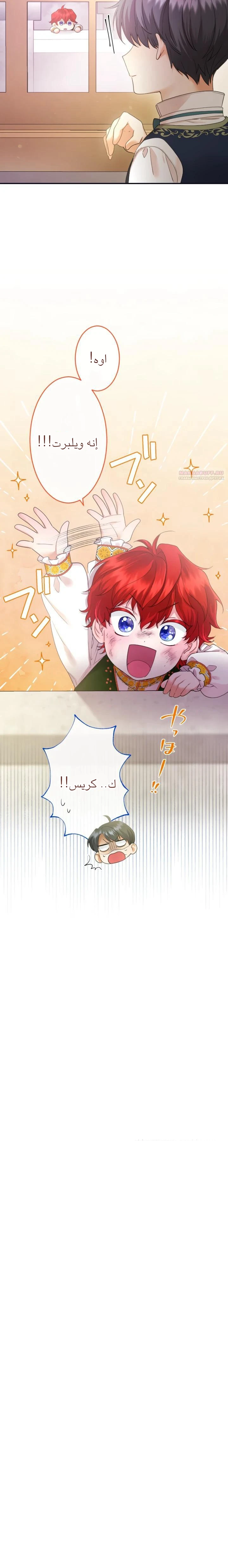 الصفحة 28