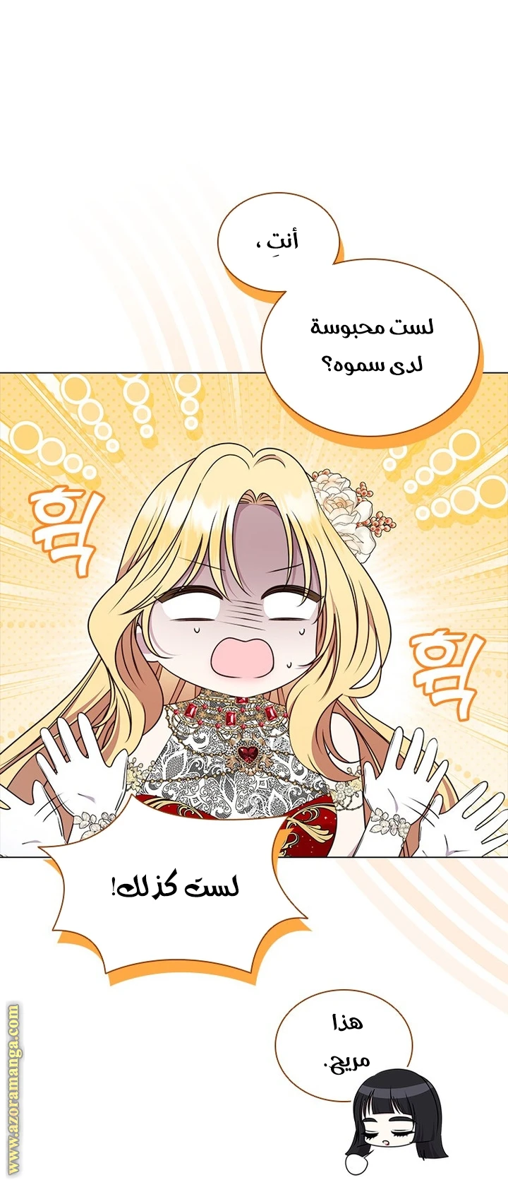 الصفحة 42